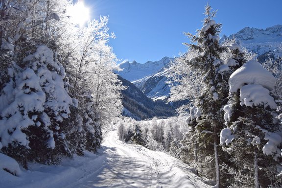 Winter im Wildgerlostal