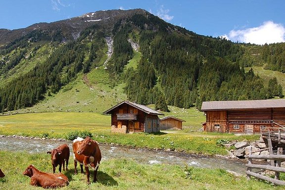 Alm im Krimmler Achental