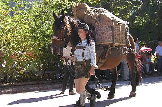 Muleteer with packhorse at the farmers' autumn festival in Krimml