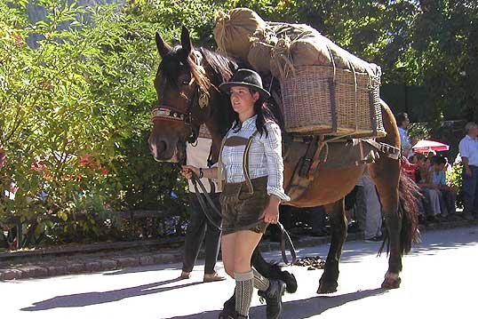 Säumerin mit Saumross am Bauernherbstfest in Krimml