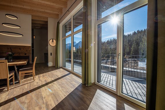 Apartment 5 in Hochkrimml AppartMO