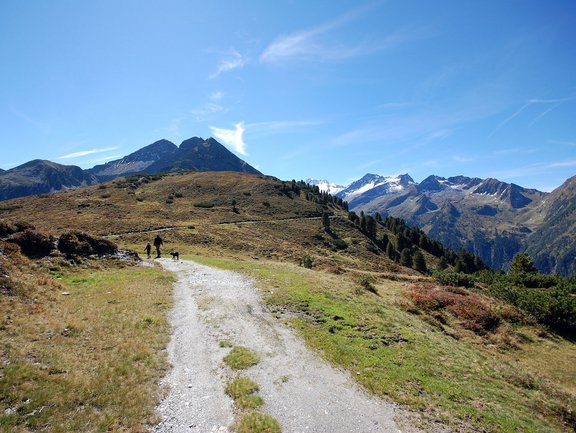 Auf der Hinterplatte zur Breitscharte